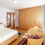 Apartment Rohani Zell am See